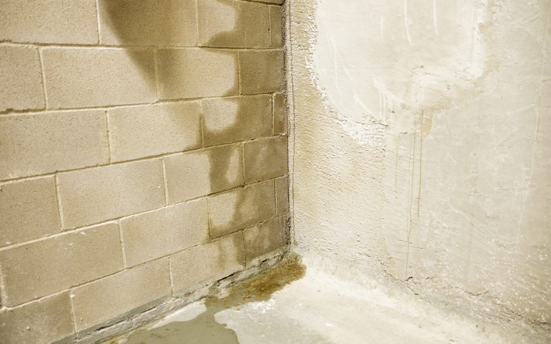 Stamford, CT – Foundation Drainage Solutions – Best Basement Waterproofing Services Near Me