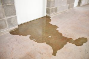 Basement Waterproofing Services in Stamford, CT